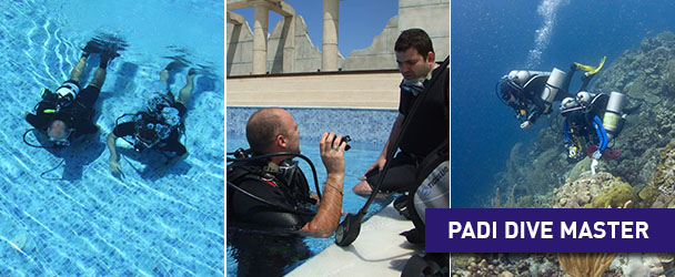 Become a Padi Dive Master