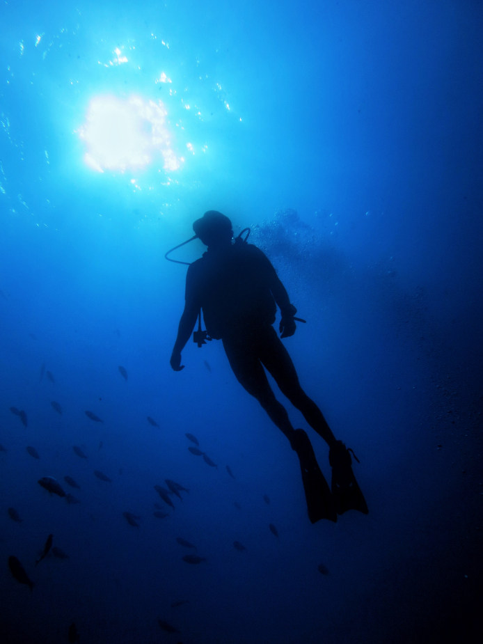 Private Dives at Kos Divers