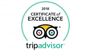 TripAdvisor&#039;s 2018 Travelers&#039; Choice Award