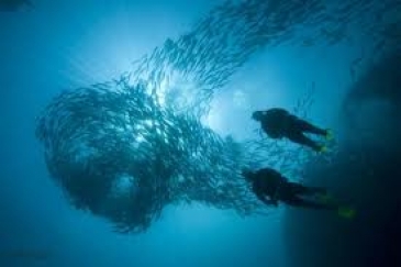 Multilevel Diver course