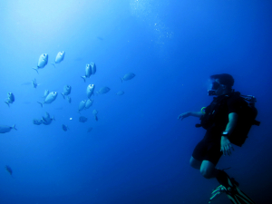 Keeping diving skills fresh