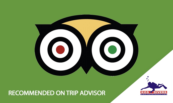 Kos Divers recommended on "Trip Advisor"