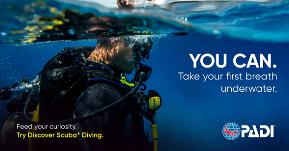 PADI Discover Scuba Diving / group dive