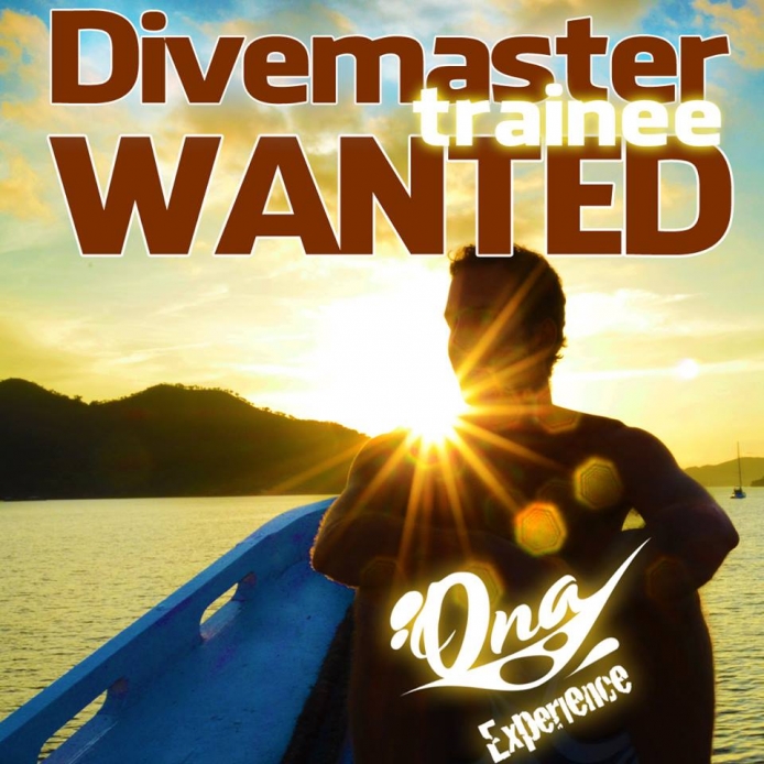 Divemaster trainee wanted