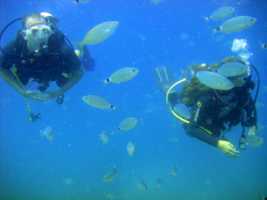 Three Ways to Increase Diver Safety